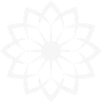 TestAndroidX icon