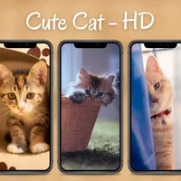 Cute Cat Wallpaper HD icon
