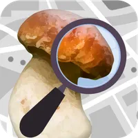 Mushroom Identify - Automatic  icon