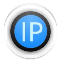 Domain Server IP icon