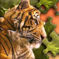 Jigsaw Puzzle icon