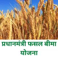 PM Fasal Bima Yojana icon