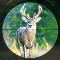 Deer Hunting Games Wild Animal icon