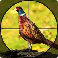 Pheasant Shooter Birds Hunting icon