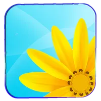 Gallery HD icon