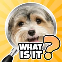 What is it? Pics Trivia Quiz icon