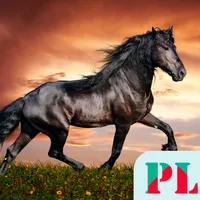 Horse Wallpapers icon
