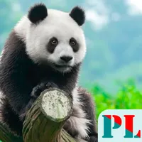 Animals Wallpapers HD OFFLINE icon