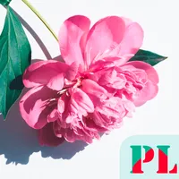 Flowers Wallpapers OFFLINE HD icon