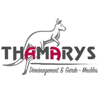 Thamarys Partenariat icon