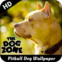 Pitbull Dog Wallpaper icon