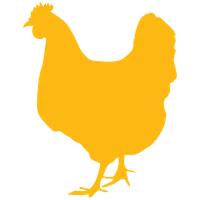 PoultryResult App icon