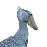 Shoebill icon