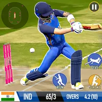 Cricket Game: Bat Ball Game 3D icon