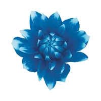 リラクゼーションサロンルリ icon