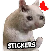 Cat Memes Stickers WASticker icon