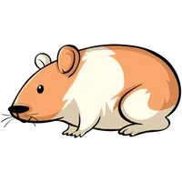 Where’s My Hamster - English 1 icon