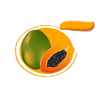 Grading Pepaya icon