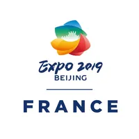France - Beijing Expo 2019 icon