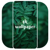 4K Wallpaper - Live Wallpapers icon
