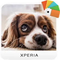 Xperia Theme - Dogs icon
