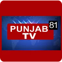 Punjab81 Tv icon