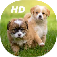 Cute Puppies Live Wallpapers H icon