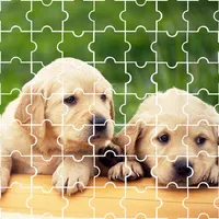 Puzzle Cute Dog icon