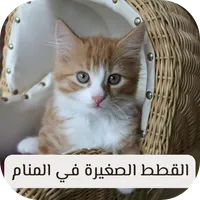 القطط الصغيرة في المنام - قطط icon