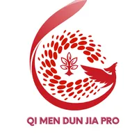 Qi Men Dun Jia Pro icon