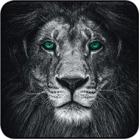 Quintessence Special icon
