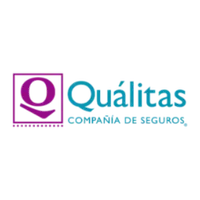 QVisitasGestor icon