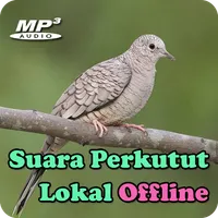 Suara Perkutut Lokal Offline icon