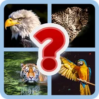 Guess Now - Word Trivia Quiz icon