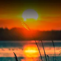 Nature Sound icon