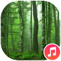Relax Forest Sounds icon