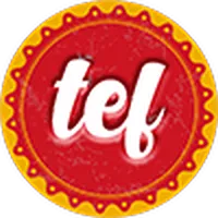 TEF NG icon