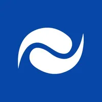 RBS Report icon