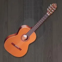 Real Guitar - Guitar Simulator icon