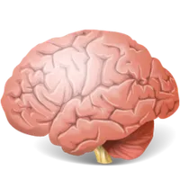 Recetas para el cerebro icon