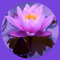 Music Relax icon