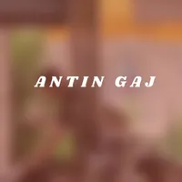 Antin Gaj icon