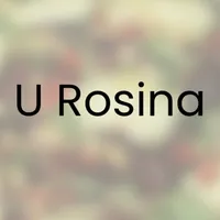 Restauracja Pizzeria U ROSINA icon