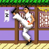 Master of Kung Fu icon