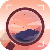 Reverse Image search- search b icon