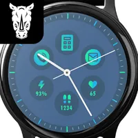 Rhins Analog Watch Face icon