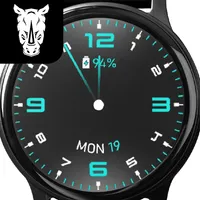 Simple Essential Watch Face icon