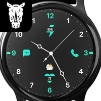 Green Tosca Analog Watch Face icon