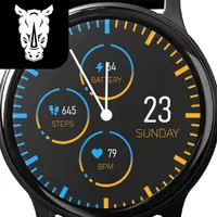 Rhinos Minimal WatchFace icon