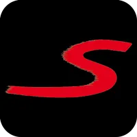 Safety Car icon